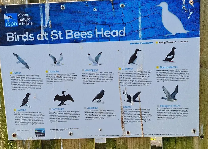 Old Post Office - Hot Tub, Real Fire, Cumbrian Lakes Coastal *